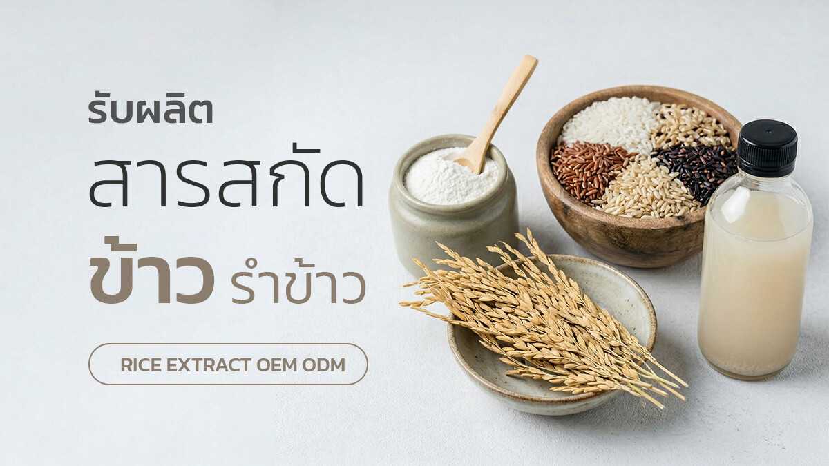 โรงงานผลิตสารสกัดข้าวและรำข้าวสำหรับอุตสาหกรรมสกินแคร์และสุขภาพ