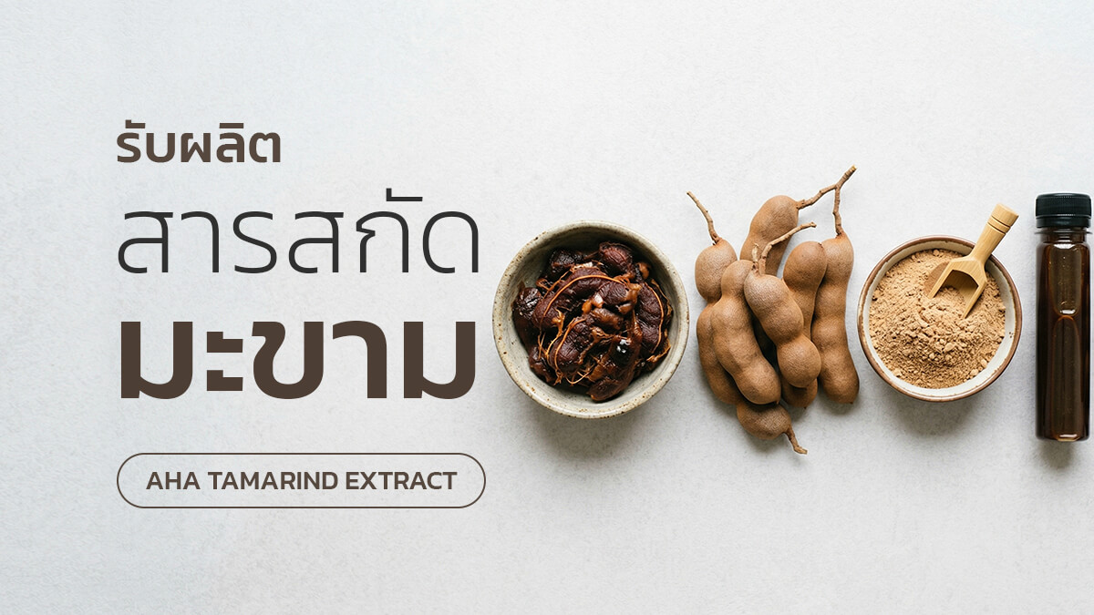 โรงงานผลิตสารสกัดมะขามสำหรับอุตสาหกรรมสกินแคร์และผลิตภัณฑ์ความงาม