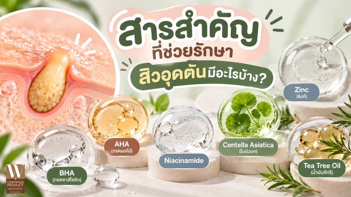 สารสำคัญลดสิวอุดตันและผลัดเซลล์ผิว เช่น BHA และ Retinoids